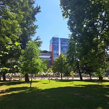 Aya Rejana * Sarajevo